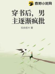 穿書後，男主逐漸瘋批