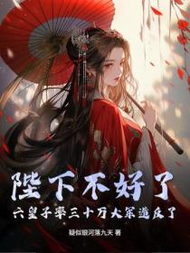 陛下不好了，六皇子率三十万大军造反了