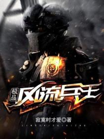 極品風流兵王