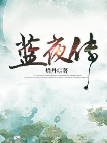 藍夜傳