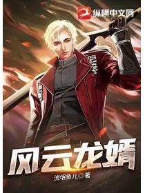 風雲龍婿