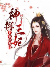 神探王妃之王爷快表白