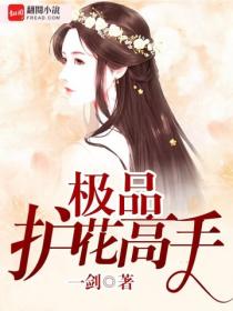 極品護花高手