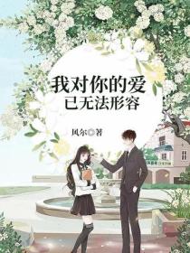 我對你的愛已無法形容