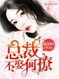 總裁，不娶何撩！
