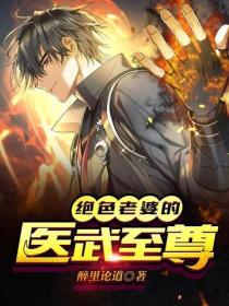 絕色老婆的醫武至尊
