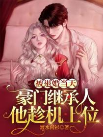被退婚當天，豪門繼承人他趁機上位