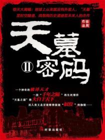天墓密码2