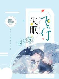 失眠飞行