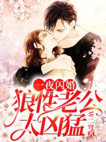 一夜閃婚：狼性老公太凶猛