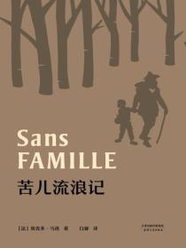 苦兒流浪記