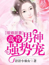 暖婚甜妻：高冷男神強勢寵