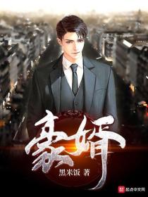 豪門戰婿