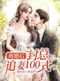 離婚後：封總追妻100式