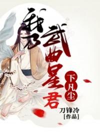 我乃武曲星君下凡尘