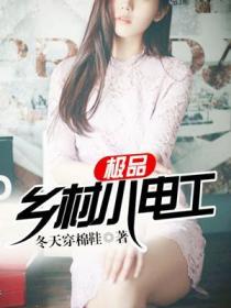 極品鄉村小電工