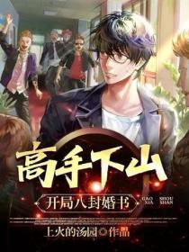 高手下山：開局八封婚書