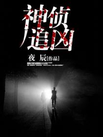 神偵追凶