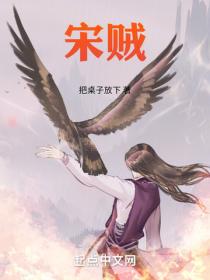 宋賊