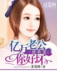 一夜歡寵：億萬老公你好壞