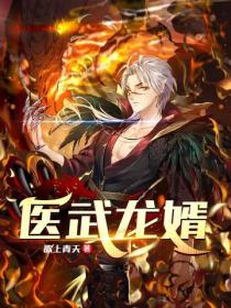 醫武龍婿