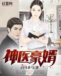 神醫豪婿