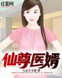仙尊醫婿