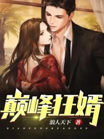 巔峰狂婿