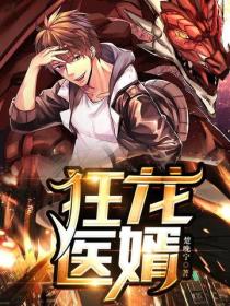 狂龍醫婿