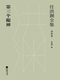 任洪淵全集：第三個眼神·詩歌卷