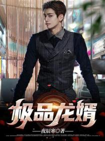 極品龍婿