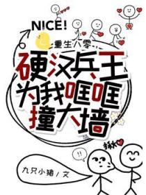 重生八零，硬汉兵王为我哐哐撞大墙