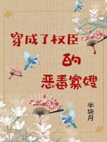 穿成了權臣的惡毒寡嫂
