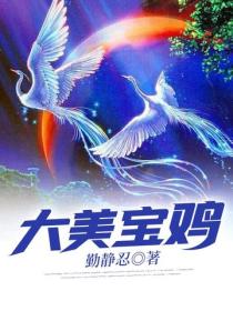 大美寶雞