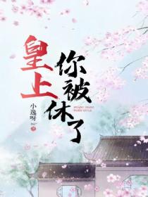 皇上，你被休了