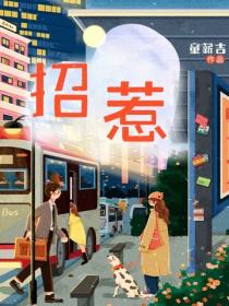 招惹