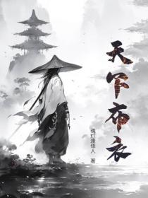天下布衣