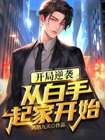 開局逆襲，從白手起家開始