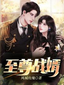 至尊戰婿