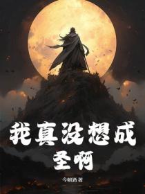 我真没想成圣啊！