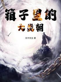 箱子裏的大炎朝