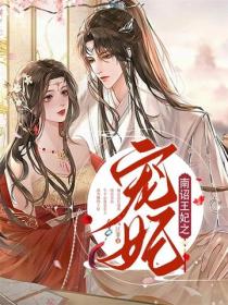 南詔王妃之寵妃