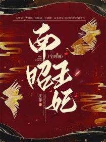 南詔王妃（全四冊）