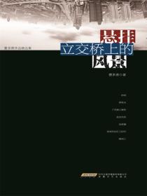 懸掛立交橋上的風景
