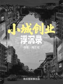 小城創業浮沉錄