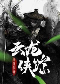 云龙侠踪