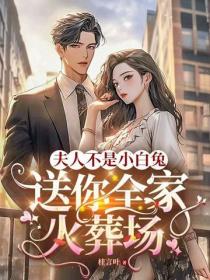 夫人不是小白兔，送你全家火葬場