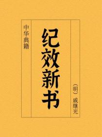 紀效新書