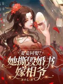 妻妾同娶？她撕毀婚書嫁相爺