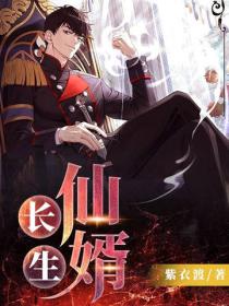 長生仙婿